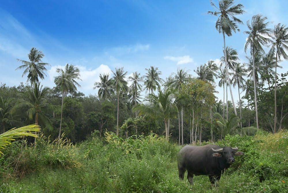 Samui Le Reve Na Mueang Exterior foto