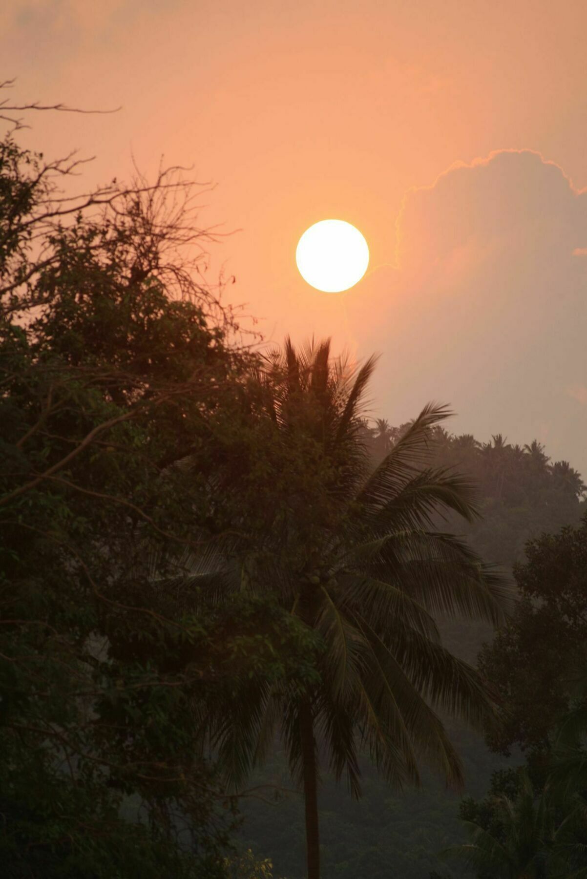 Samui Le Reve Na Mueang Exterior foto